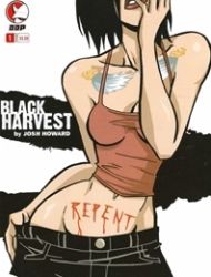 Black Harvest