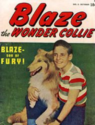 Blaze the Wonder Collie