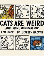 Cats are Weird and More Observations