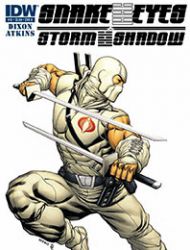 Snake Eyes and Storm Shadow