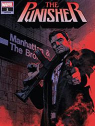 The Punisher (2018)