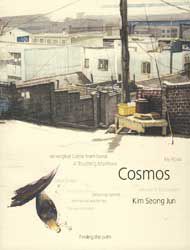 Cosmos Flower