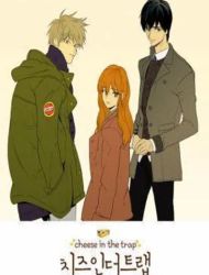 Cheese in the Trap