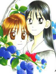 Kare Kano