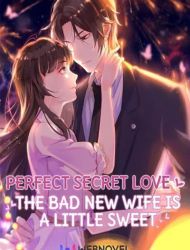 Perfect Secret Love: The Bad New Wife Is a Little Sweet