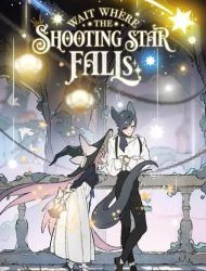 Wait Where the Shooting Star Falls