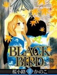 Black Bird