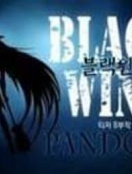 Black Wind