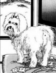 Junji Ito's Dog Diary