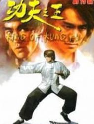 King Of Kung Fu