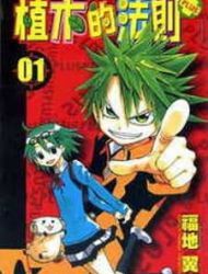 Law Of Ueki Plus