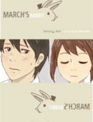 March Rabbit