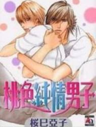 Momoiro Junjou Danshi