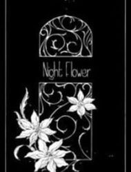 Night Flower