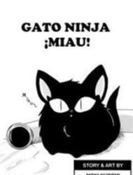 Ninja Cat Meow!