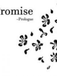 Promise