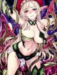 Queen's Blade - Vanquished Queens (Artbook)