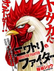 Rooster Fighter