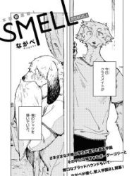 Smell