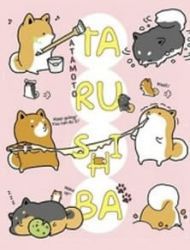 Taru Shiba