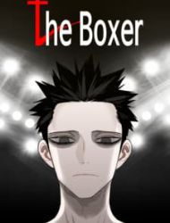 The Boxer