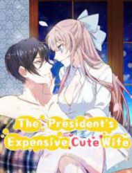 The President's Expensive, Cute Wife