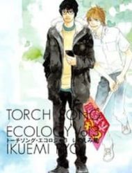 Torch Song Ecology