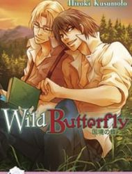 Wild Butterfly (Hiroki Kusumoto)