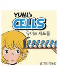 Yumi's Cells